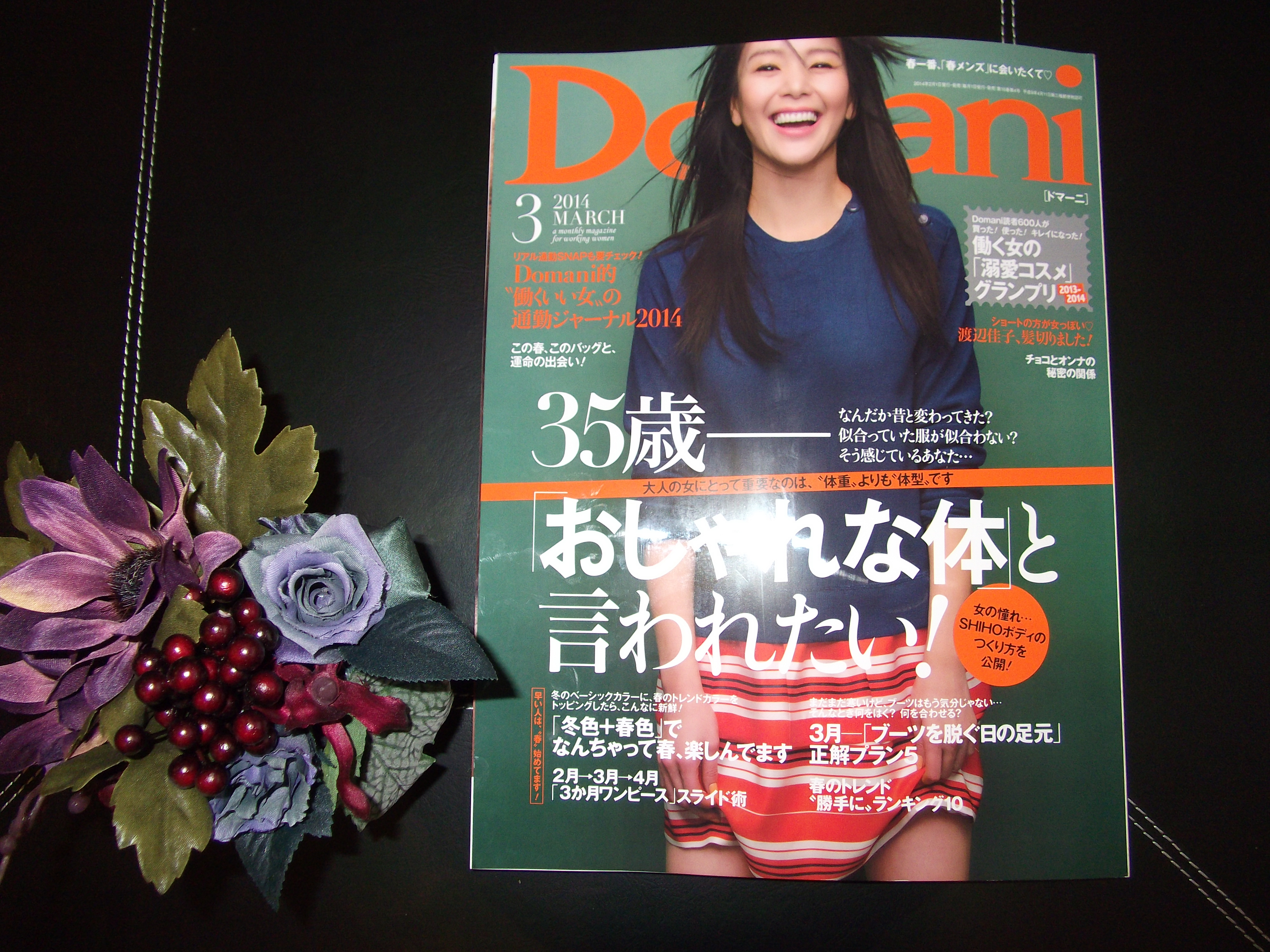 Domani3月号(2014年)